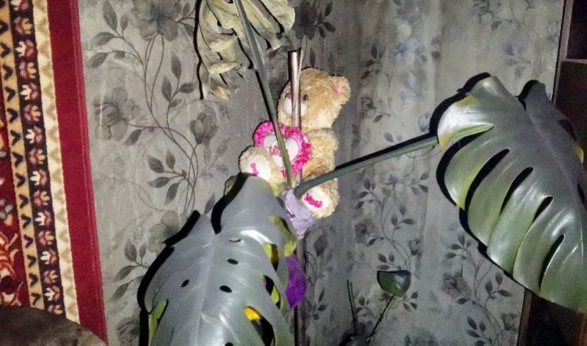 Детская шалость стала причиной гибели семьи. СК рассказал подробности пожара в Витебске