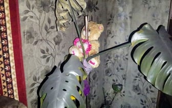 Детская шалость стала причиной гибели семьи. СК рассказал подробности пожара в Витебске