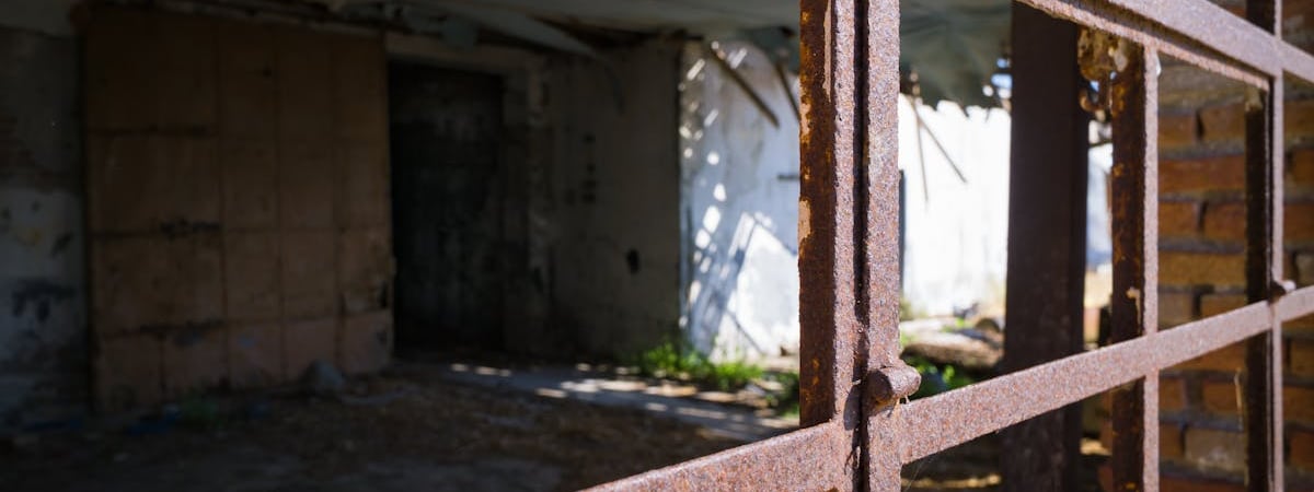 Харрис уничтожила лидерство Трампа в ключевых штатах – опрос