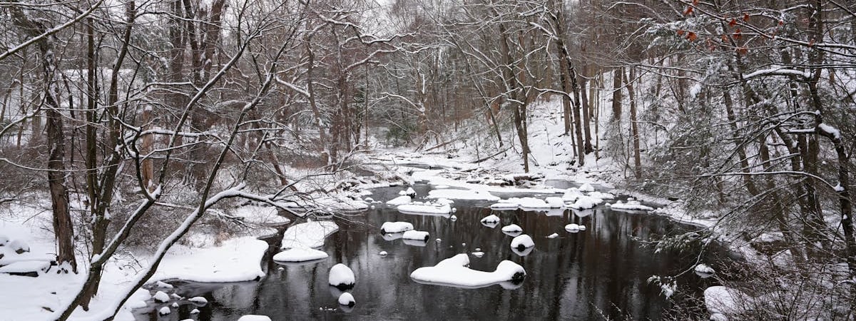 Банк России сохранил ключевую ставку на уровне 21% годовых