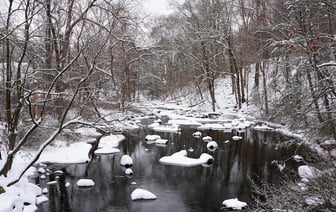 Банк России сохранил ключевую ставку на уровне 21% годовых
