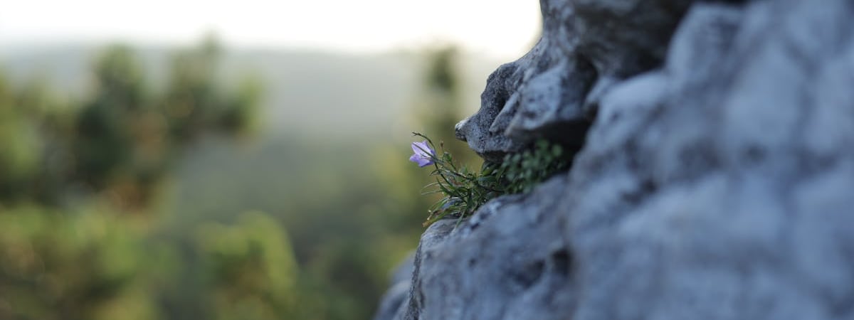 Годовая инфляция в Польше в июне составила 2,6%