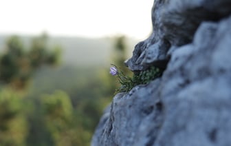 Годовая инфляция в Польше в июне составила 2,6%