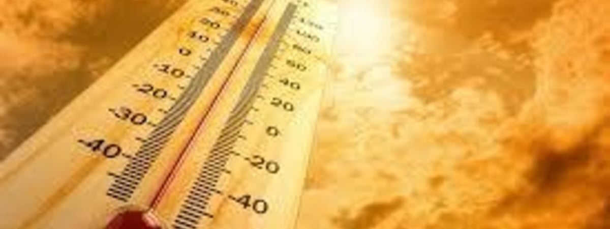 Жара, затяжные похолодания и опасные природные явления: каким будет это лето в Беларуси?