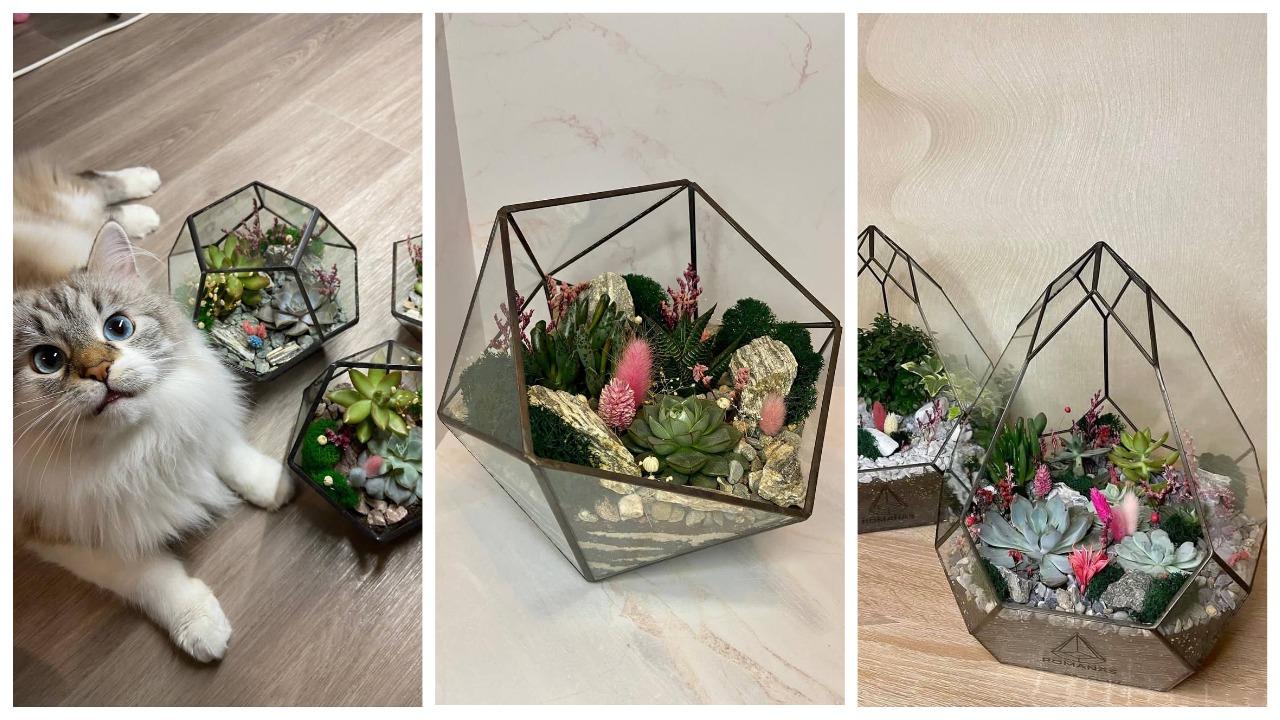 «Каждую неделю дарил жене кактусы, а потом — запустил бизнес». Посмотрите, какие флорариумы делает этот белорус