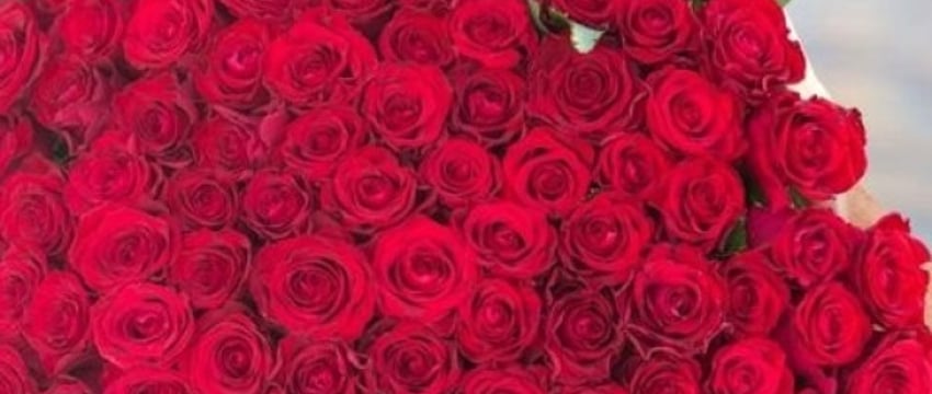 Белорус хотел порадовать девушку 51 розой, но всё пошло не по плану