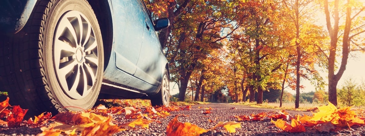 ГАИ предупредила белорусов об опасной «плёнке» на осенних дорогах. К чему ещё сказала готовиться? — Полезно