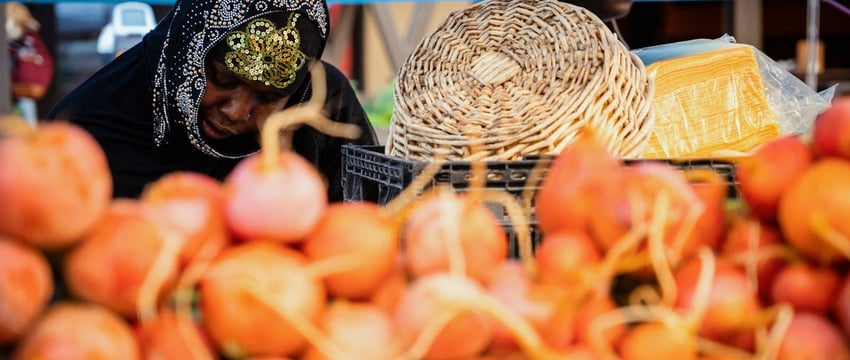 За один день сгорели комбайн и трактор. Пожары произошли в Городокском и Оршанском районах