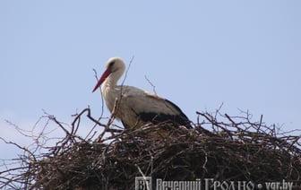 Православные верующие отмечают Благовещение — история, традиции и приметы праздника