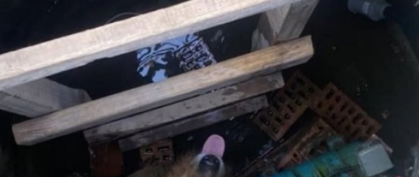 В Брестском районе собаку спасли из колодца