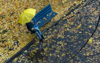 Каким будет ноябрь в Беларуси? Синоптики рассказали, где будут проливные дожди и ждать ли морозов — Фото