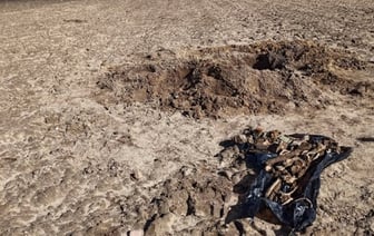 Discovery of Human Remains and Ammunition in Kamianets District