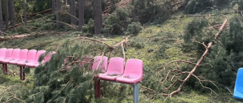 Опубликовано видео из лагеря, где ребенка насмерть придавило деревом
