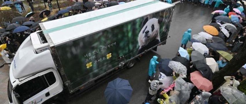В Южной Корее 6 тысяч человек пришли попрощаться с пандой
