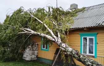 Выяснили, как много белорусов попросили страховку из-за летнего урагана
