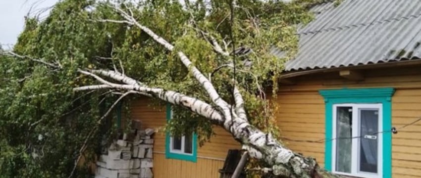Выяснили, как много белорусов попросили страховку из-за летнего урагана