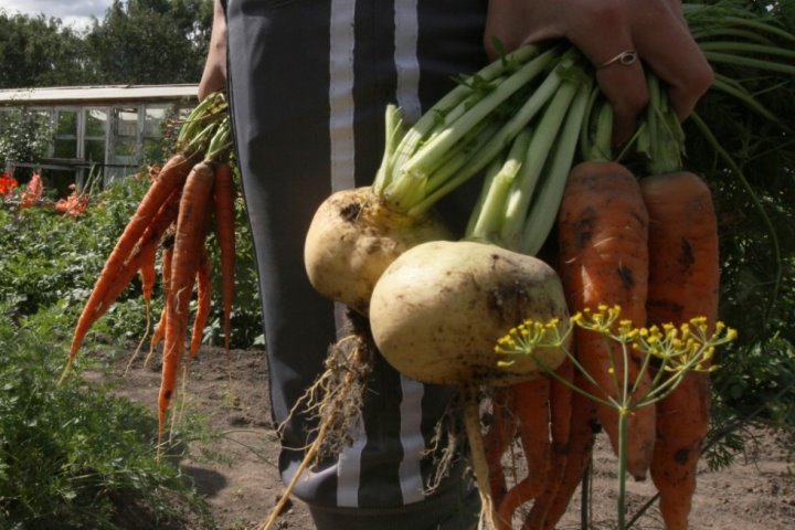 Фото: РИА Новости