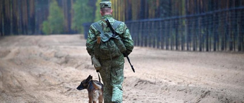 Белорусы, завербованные спецслужбами Украины, прятали взрывчатку для терактов