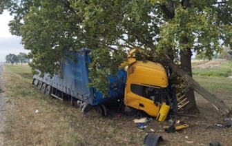 В Столинском районе водитель грузовика уснул за рулем и врезался в дерево