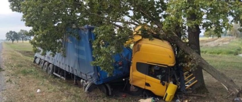 В Столинском районе водитель грузовика уснул за рулем и врезался в дерево