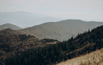 Дожди не помогли? Минлесхоз снова ввёл ограничения на посещение лесов в 17 районах Беларуси