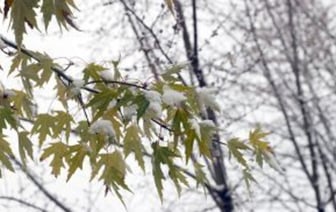 Существенное похолодание.  Прогноз погоды на неделю с 18 по 24 ноября