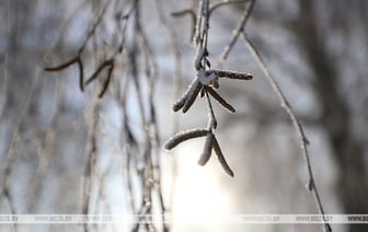 Какой будет погода с 9 по 15 декабря