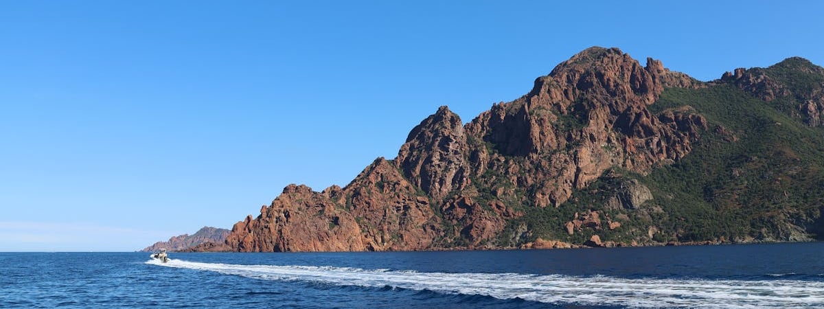 Франция привлекает €109 млрд инвестиций в развитие ИИ с целью "остаться в игре"