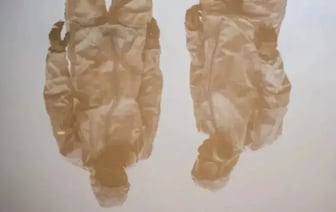 Для второй БелАЭС рассматривают площадку южнее Могилева