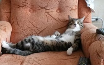 У белорусов закончились длинные выходные. Когда будут следующие