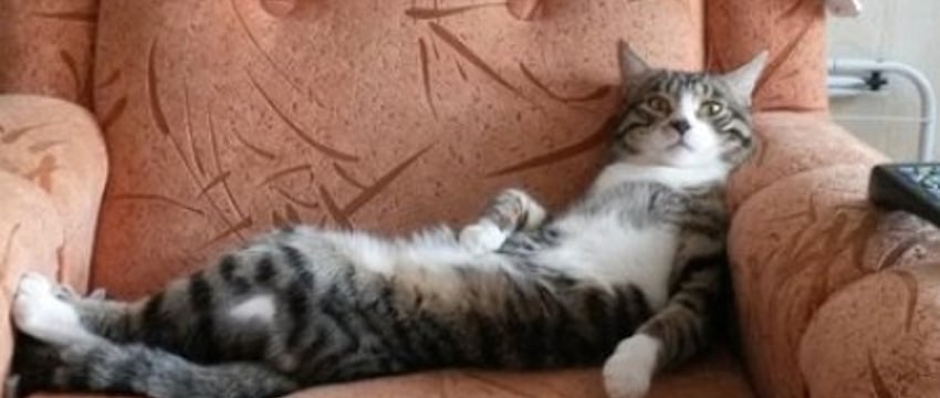 У белорусов закончились длинные выходные. Когда будут следующие