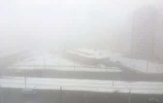 Витебск накрывает туман, видимость упала до 100-200 м. Будьте осторожны на дороге