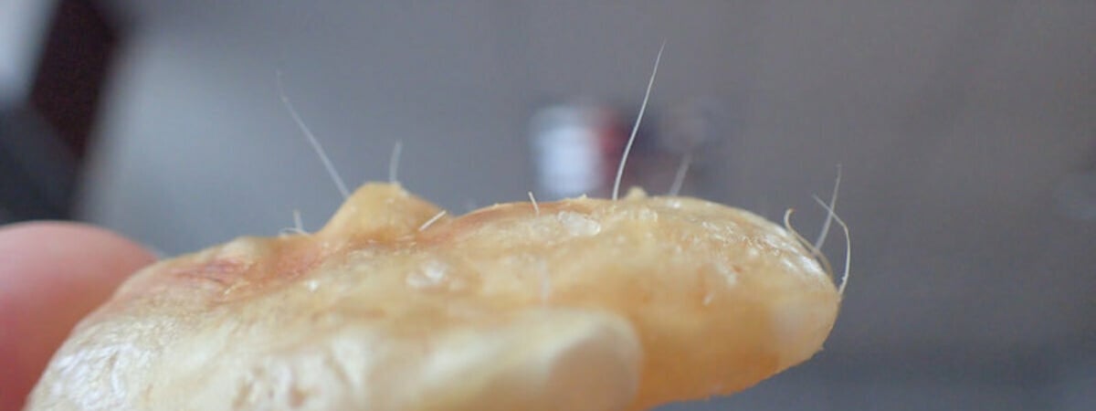 В белорусском магазине нашли закуску со свиной шерстью. Это как? — Фото