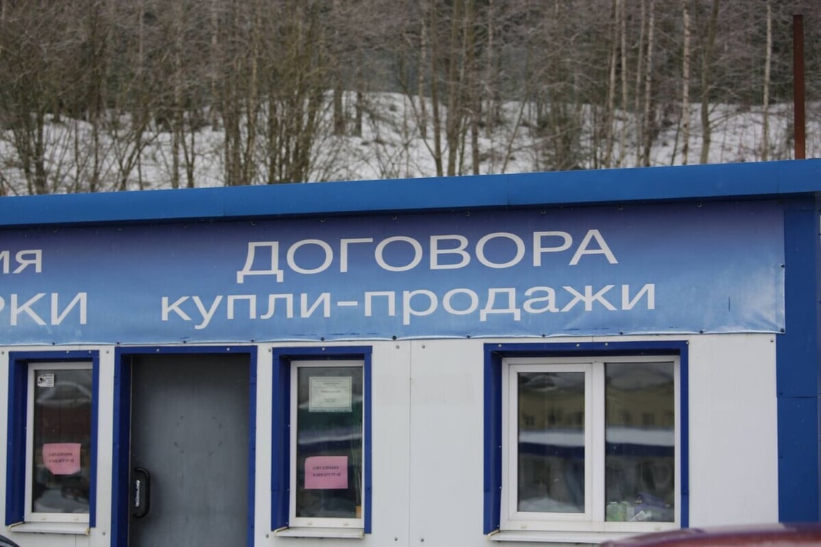 Год после отмены счетов-справок. Что сейчас происходит на авторынке?