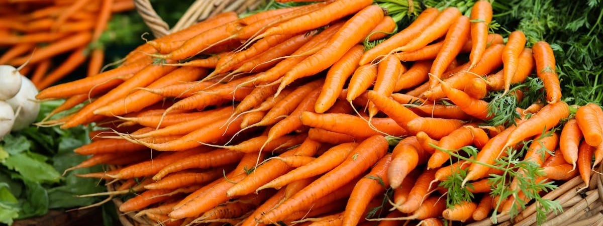 Чехия может продлить запрет на ряд каннабиноидов и расширить список запрещенных веществ