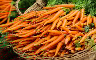 Чехия может продлить запрет на ряд каннабиноидов и расширить список запрещенных веществ