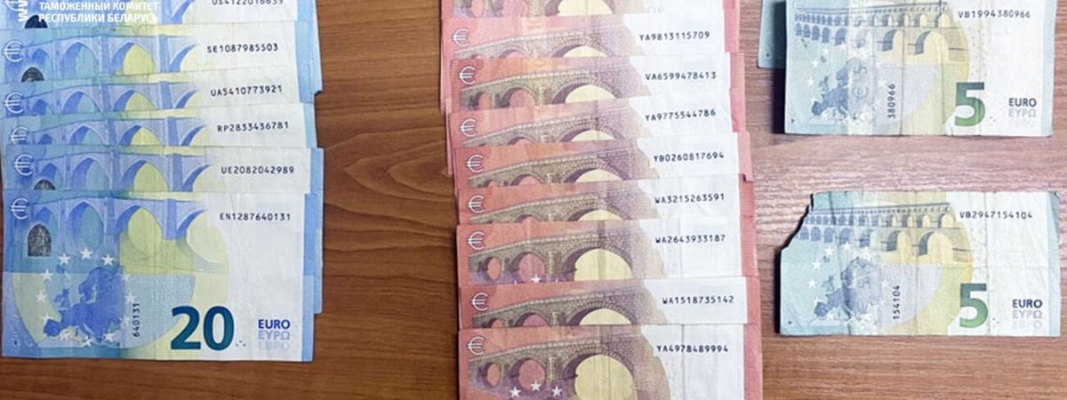 Гражданин Молдовы пытался перевести через границу солидную сумму валюты — что было дальше