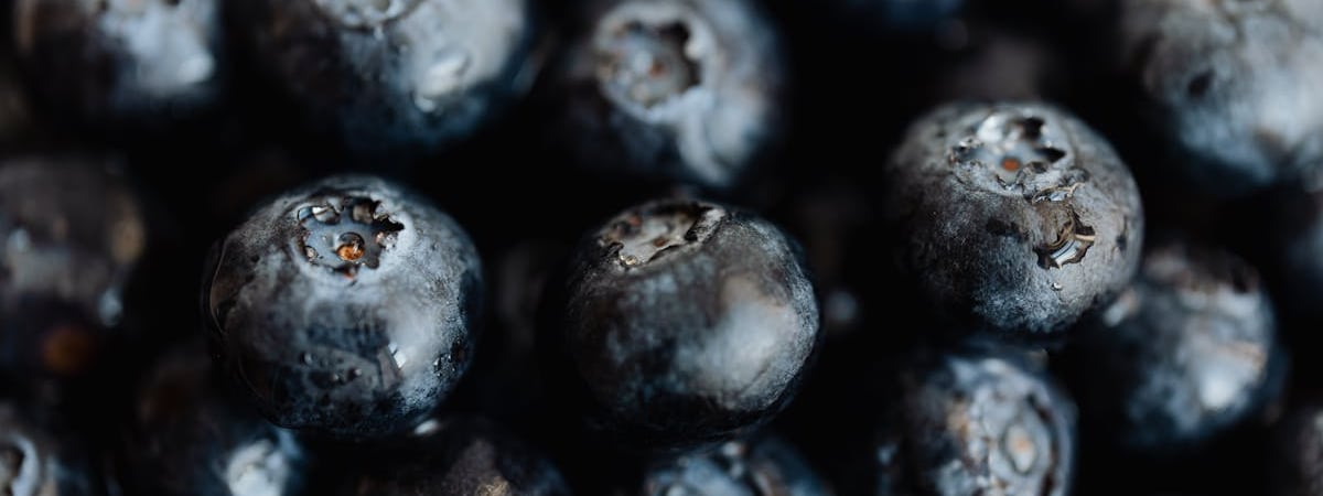 Как приготовить слойки с черникой и маскарпоне? Эта выпечка с сезонной ягодой подвинет вареники — Полезно