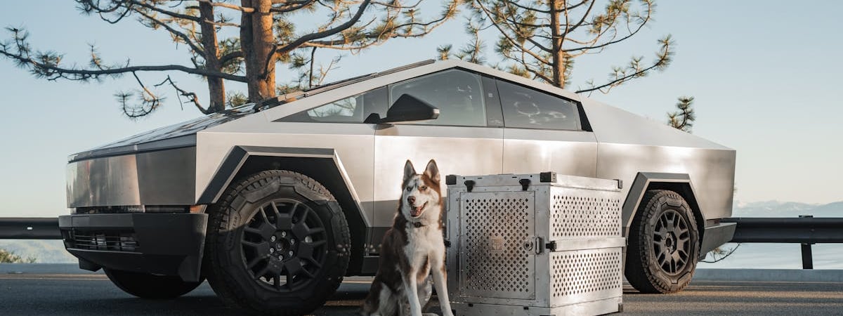 Samsung и TSMC могут построить в ОАЭ крупные заводы для выпуска чипов