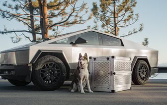 Samsung и TSMC могут построить в ОАЭ крупные заводы для выпуска чипов