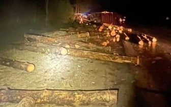 Виновника смертельной аварии с лесовозом в Ганцевичах приговорили к химии