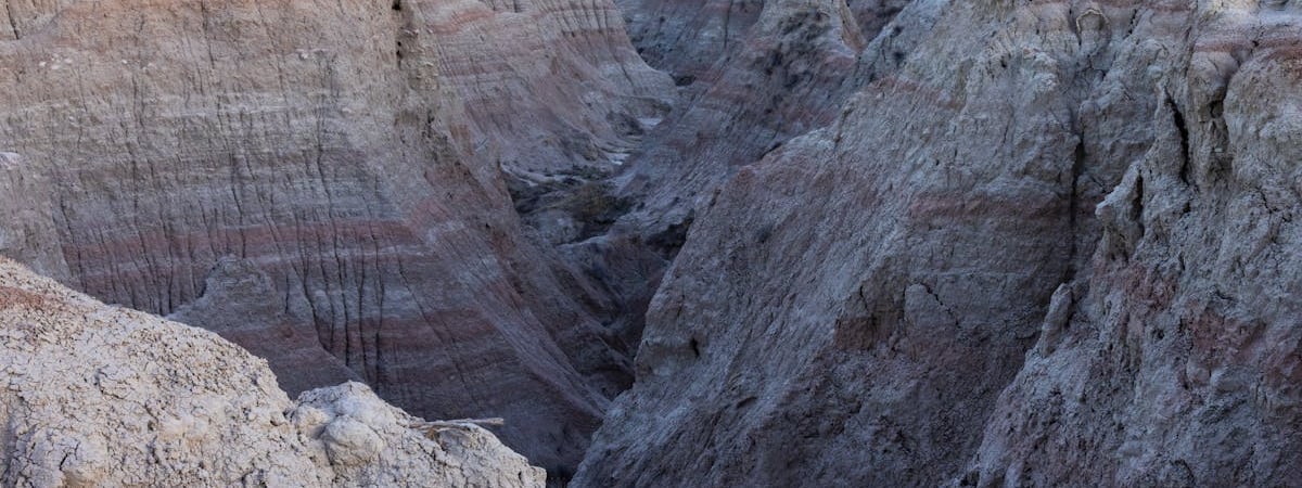 Госдеп официально уведомил Конгресс США о роспуске USAID