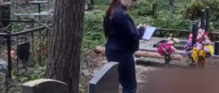 В Беларуси на кладбище студента придавило деревом - он погиб