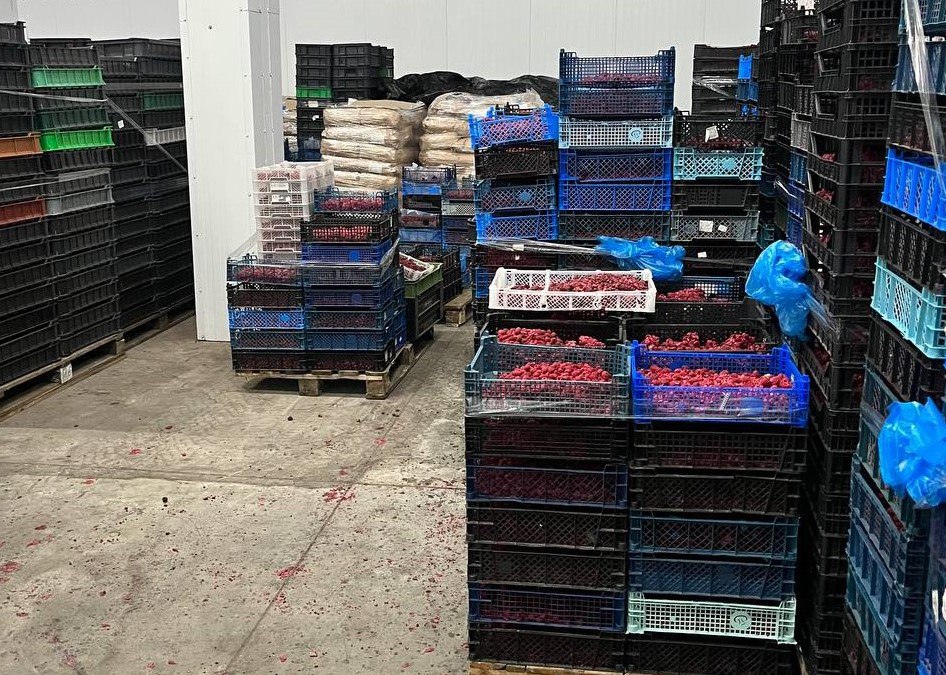 Компания, закупающая ягоды и грибы, не заплатила 2 млн рублей налогов