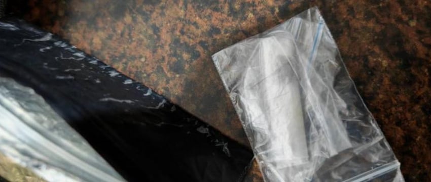 Служебная собака нашла гашиш в авто, ехавшем в Беларусь