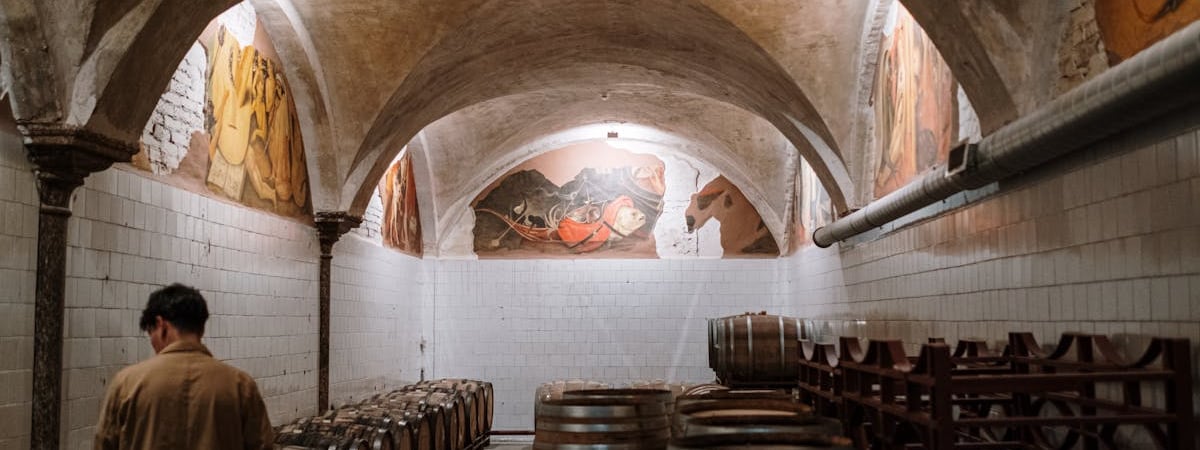 ЕС проверяет завод BYD в Венгрии из-за китайских субсидий