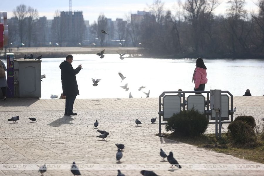 Как вам зима? Сегодня в Бресте столбик термометра достиг отметки +11°С