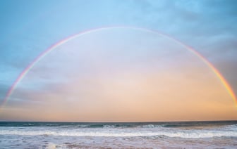 В Полоцке началось благоустройство территории возле Софийского собора