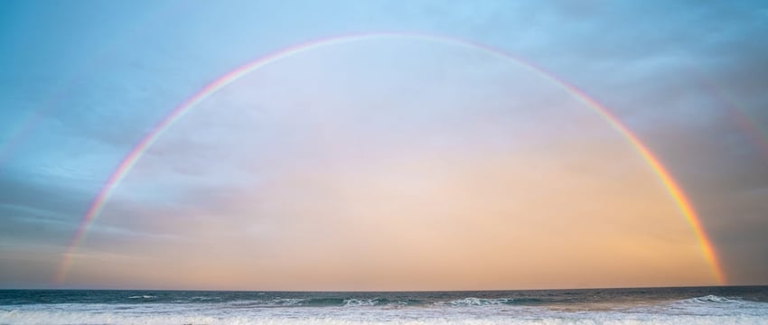 В Полоцке началось благоустройство территории возле Софийского собора