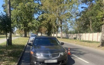 В Бресте Honda сбила пешехода